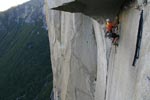 Janek Bednařík, The Great Roof - fotografie se po kliknutí zvětší.